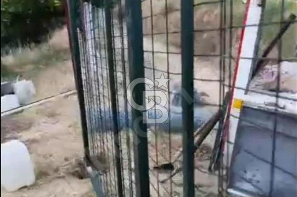 Manisa Sarıgöl 895M2 Bedava Satılık Müstakil Ev ve Arsa