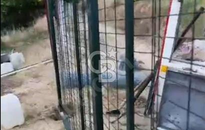Manisa Sarıgöl 895M2 Bedava Satılık Müstakil Ev ve Arsa