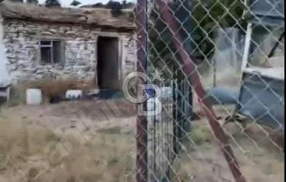 Manisa Sarıgöl 895M2 Bedava Satılık Müstakil Ev ve Arsa