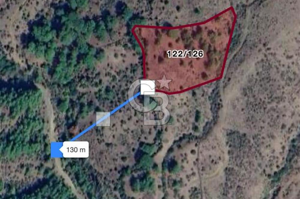 İzmir Bergama Tırmanlar 7937 M2 Bedava Yatırımlık Satılık Tarla