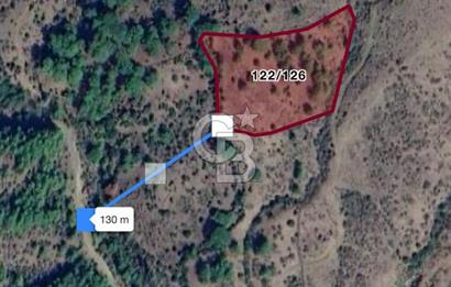 İzmir Bergama Tırmanlar 7937 M2 Bedava Yatırımlık Satılık Tarla