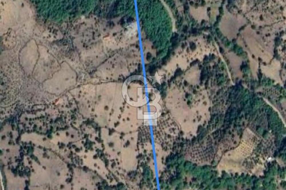 İzmir Bergama Tırmanlar 7937 M2 Bedava Yatırımlık Satılık Tarla