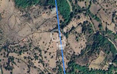 İzmir Bergama Tırmanlar 7937 M2 Bedava Yatırımlık Satılık Tarla