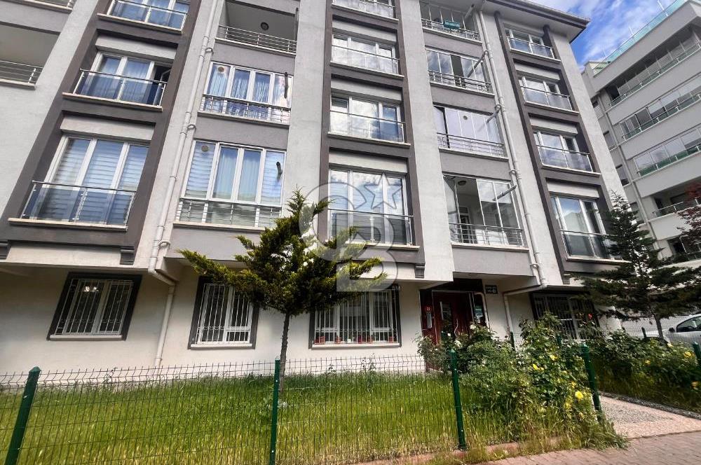 Cb Vizyon Tuğba ERKAL'dan Cadde Üstü Fırsat Daire