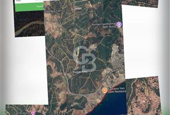 İzmir Seferihisar'da Satılık Zeytinlik - 1 - 350948