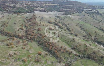 CB OPİA'DAN "SATILIK 260.000 m² GES ARAZİSİ"