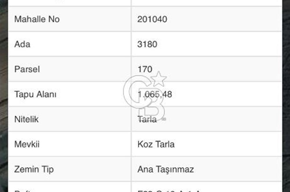 Şile Kalemköy 1 dönüm üzeri yatırımlık tarla