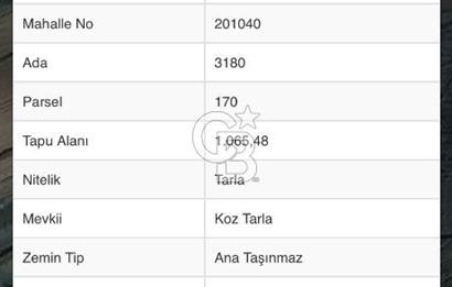 Şile Kalemköy 1 dönüm üzeri yatırımlık tarla