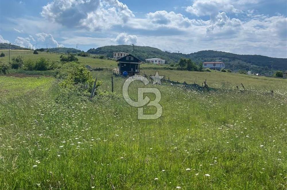 Şile Kalemköy 1 dönüm üzeri yatırımlık tarla