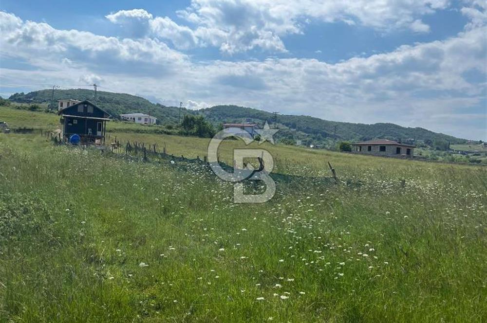 Şile Kalemköy 1 dönüm üzeri yatırımlık tarla