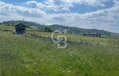 Şile Kalemköy 1 dönüm üzeri yatırımlık tarla
