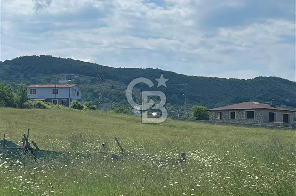 Şile Kalemköy 1 dönüm üzeri yatırımlık tarla
