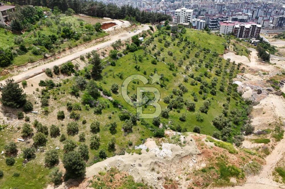 Onikişubat Hürriyet Mahallesinde Satılık Konut İmarlı Arsa
