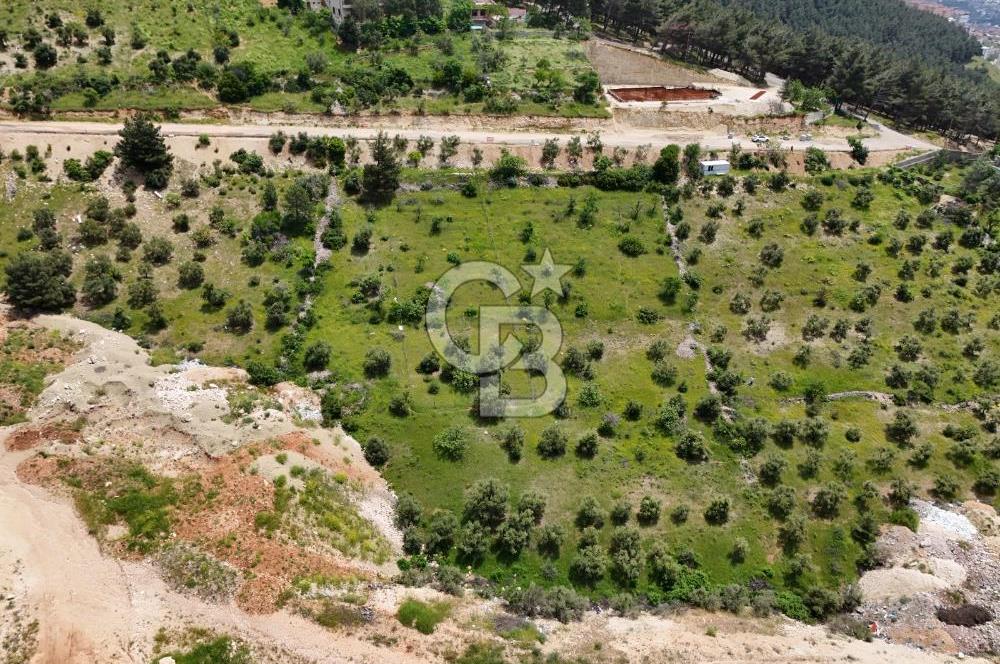 Onikişubat Hürriyet Mahallesinde Satılık Konut İmarlı Arsa
