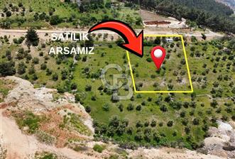 Onikişubat Hürriyet Mahallesinde Satılık Konut İmarlı Arsa - 3 - 350936