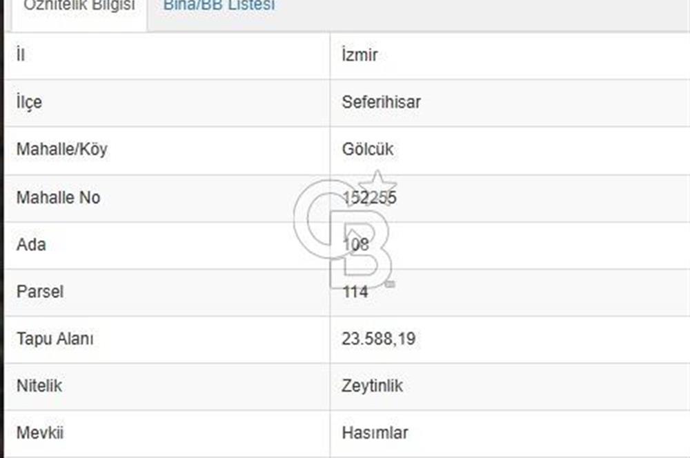 Seferihisar Gölcük'te Teos Bağ Rotasında Zeytinlik