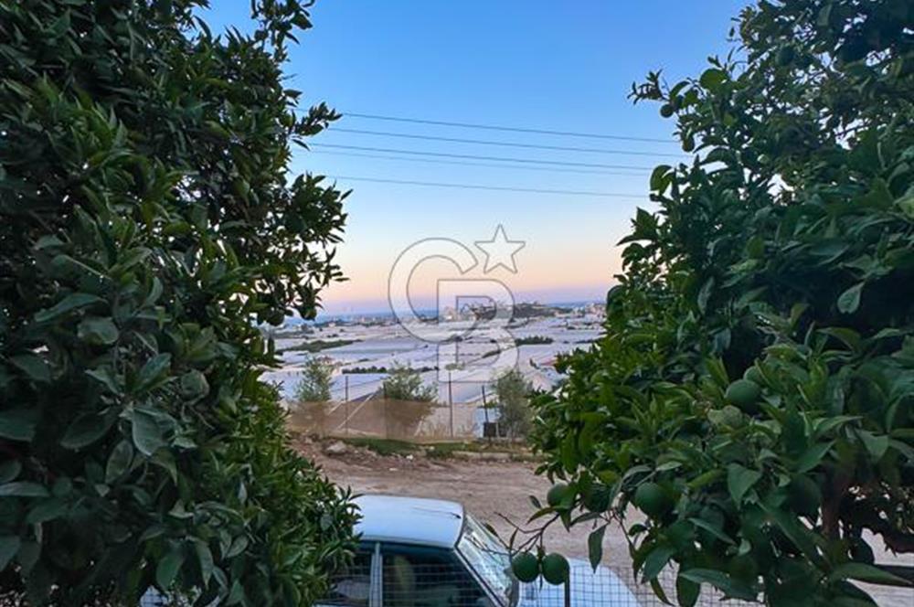 Antalya Demre beymelekte 2+1 kiralık daire