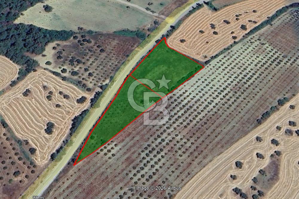Çanakkale Eceabat Bigalı'da Denize yakın Asfalta Cepheli Kupon Tarla