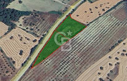 Çanakkale Eceabat Bigalı'da Denize yakın Asfalta 135m Cepheli Kupon Tarla