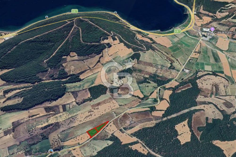Çanakkale Eceabat Bigalı'da Denize yakın Asfalta 135m Cepheli Kupon Tarla
