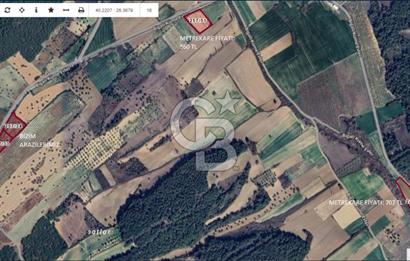 Çanakkale Eceabat Bigalı'da Denize yakın Asfalta 135m Cepheli Kupon Tarla
