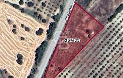 Çanakkale Eceabat Bigalı'da Denize yakın Asfalta 135m Cepheli Kupon Tarla