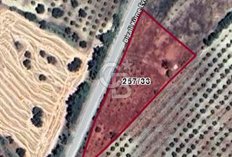 Çanakkale Eceabat Bigalı'da Denize yakın Asfalta 135m Cepheli Kupon Tarla - 11 - 350972