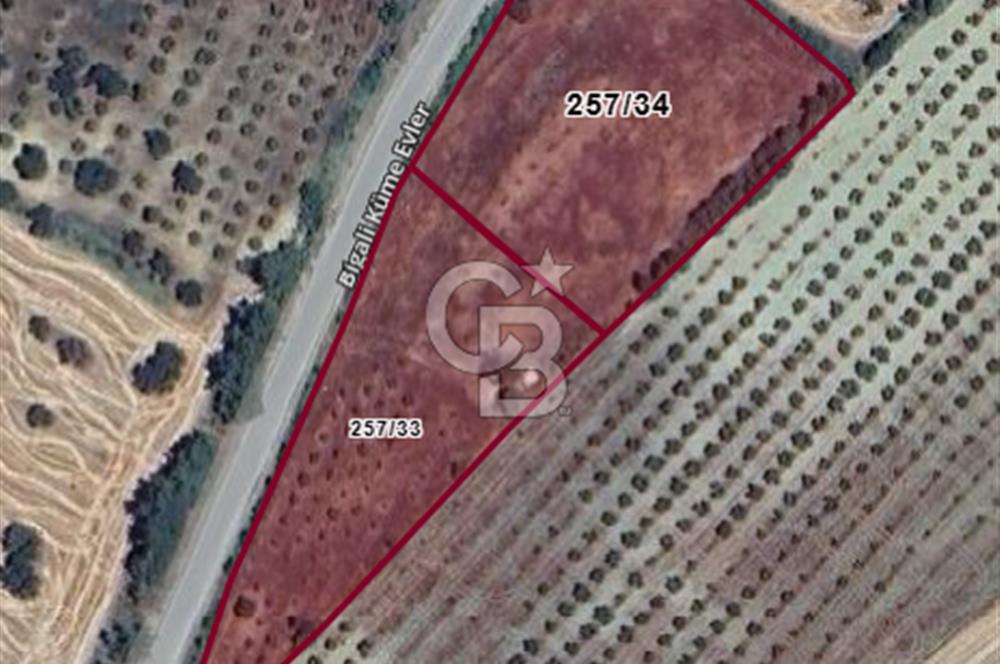 Çanakkale Eceabat Bigalı'da Denize yakın Asfalta 135m Cepheli Kupon Tarla