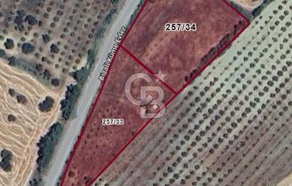 Çanakkale Eceabat Bigalı'da Denize yakın Asfalta 135m Cepheli Kupon Tarla