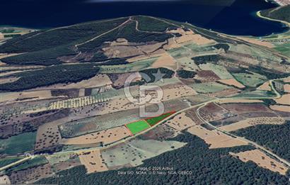 Çanakkale Eceabat Bigalı'da Denize yakın Asfalta Cepheli Kupon Tarla