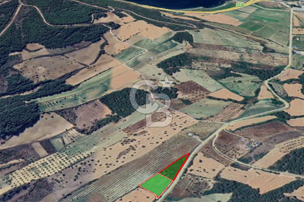 Çanakkale Eceabat Bigalı'da Denize yakın Asfalta Cepheli Kupon Tarla