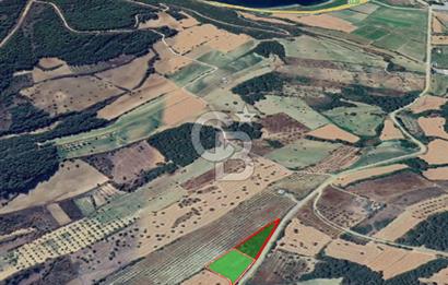 Çanakkale Eceabat Bigalı'da Denize yakın Asfalta Cepheli Kupon Tarla
