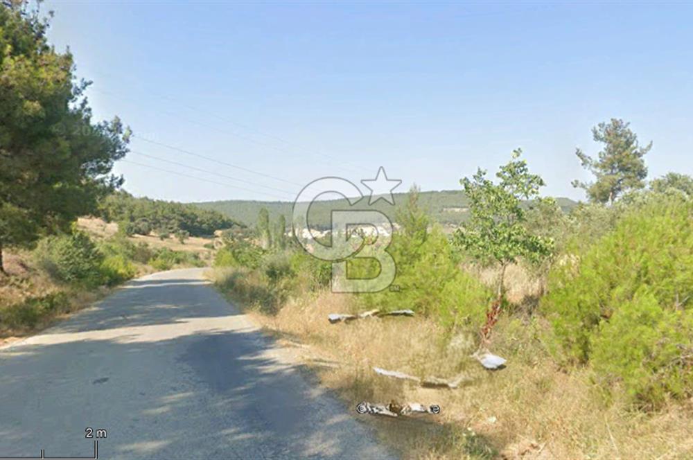 Çanakkale Eceabat Bigalı'da Denize yakın Asfalta 135m Cepheli Kupon Tarla