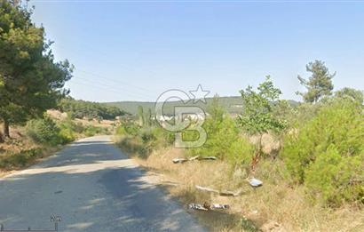 Çanakkale Eceabat Bigalı'da Denize yakın Asfalta 135m Cepheli Kupon Tarla