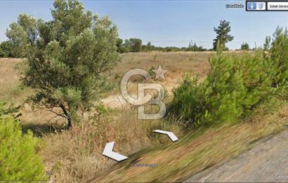 Çanakkale Eceabat Bigalı'da Denize yakın Asfalta Cepheli Kupon Tarla