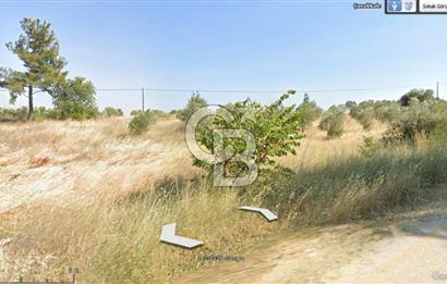 Çanakkale Eceabat Bigalı'da Denize yakın Asfalta Cepheli Kupon Tarla