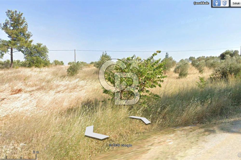 Çanakkale Eceabat Bigalı'da Denize yakın Asfalta 135m Cepheli Kupon Tarla
