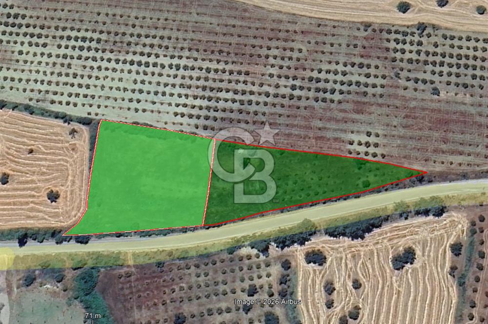Çanakkale Eceabat Bigalı'da Denize yakın Asfalta Cepheli Kupon Tarla