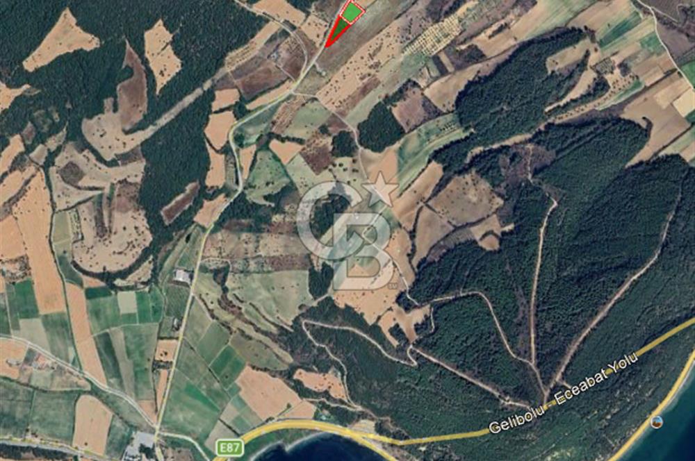 Çanakkale Eceabat Bigalı'da Denize yakın Asfalta Cepheli Kupon Tarla