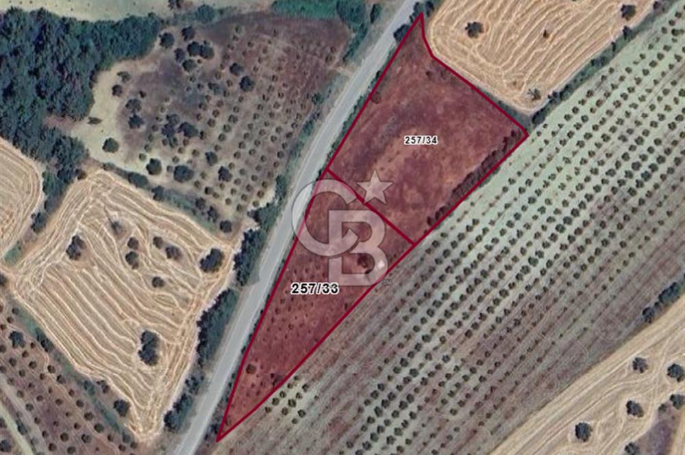 Çanakkale Eceabat Bigalı'da Denize yakın Asfalta Cepheli Kupon Tarla