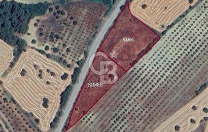 Çanakkale Eceabat Bigalı'da Denize yakın Asfalta Cepheli Kupon Tarla