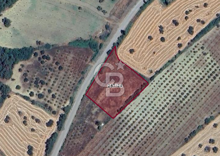 Çanakkale Eceabat Bigalı'da Denize yakın Asfalta Cepheli Kupon Tarla