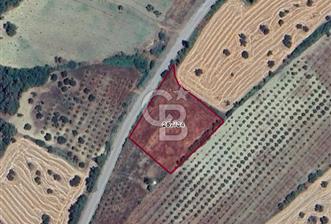 Çanakkale Eceabat Bigalı'da Denize yakın Asfalta Cepheli Kupon Tarla - 10 - 350974
