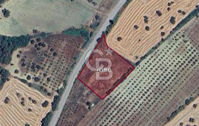 Çanakkale Eceabat Bigalı'da Denize yakın Asfalta Cepheli Kupon Tarla