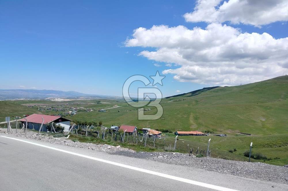 YAKUPABDAL'DA YOLA CEPHELİ ÇEVRİLİ 250 m² TARLA