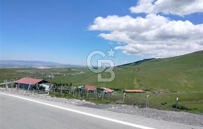 YAKUPABDAL'DA YOLA CEPHELİ ÇEVRİLİ 250 m² TARLA