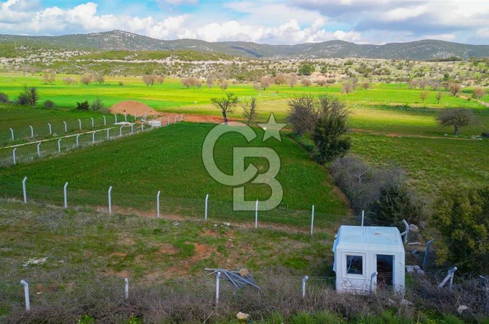 MUĞLA MENTEŞE AKKAYA MAHALLESİ'NDE SATILIK ARAZİ