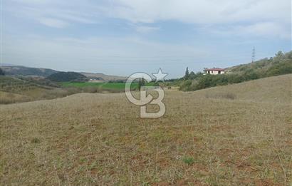 COLDWELL BANKER SAFİR'den YALOVA da 8022 m² SATILIK TARLA