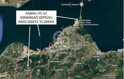 COLDWELL BANKER SAFİR'den YALOVA da 8022 m² SATILIK TARLA