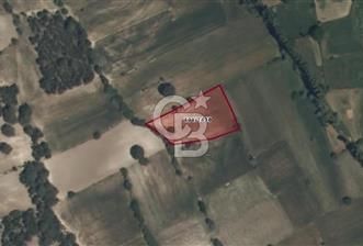 Kütahya Çavdarhisar Yenicearmutcuk Köyü Satılık 2.807 m² Tarla - 1 - 351078